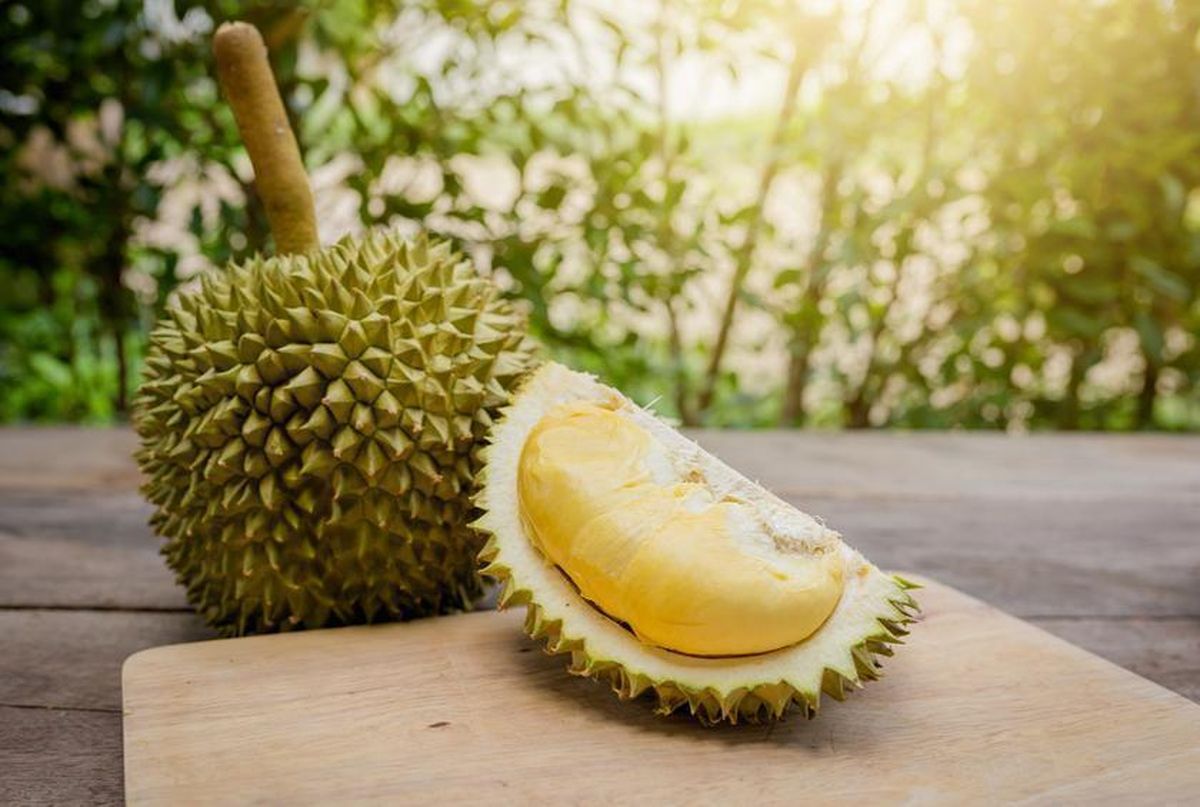 Nutritional benefits of durian